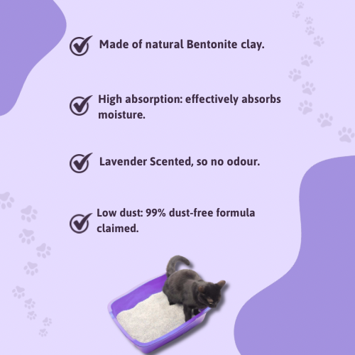BearHugs Bentonite Clumping Cat Litter - Lavender Scented - 5.8 Litres (Pack of 1)
