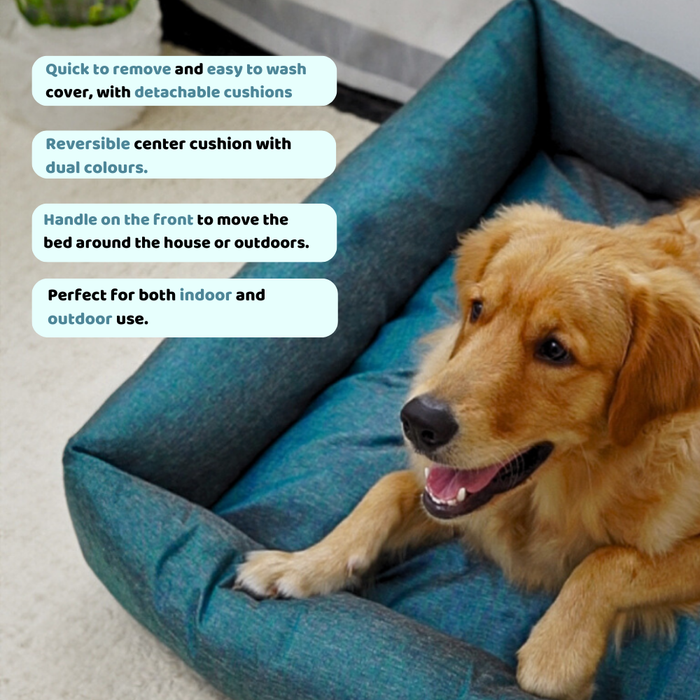 BearHugs Lounger Bed for Dog