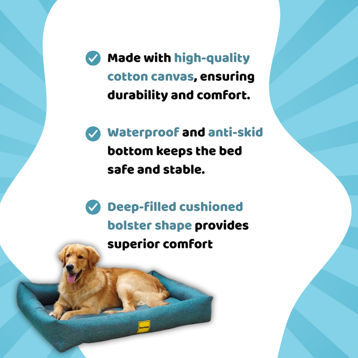 BearHugs Lounger Bed for Dog