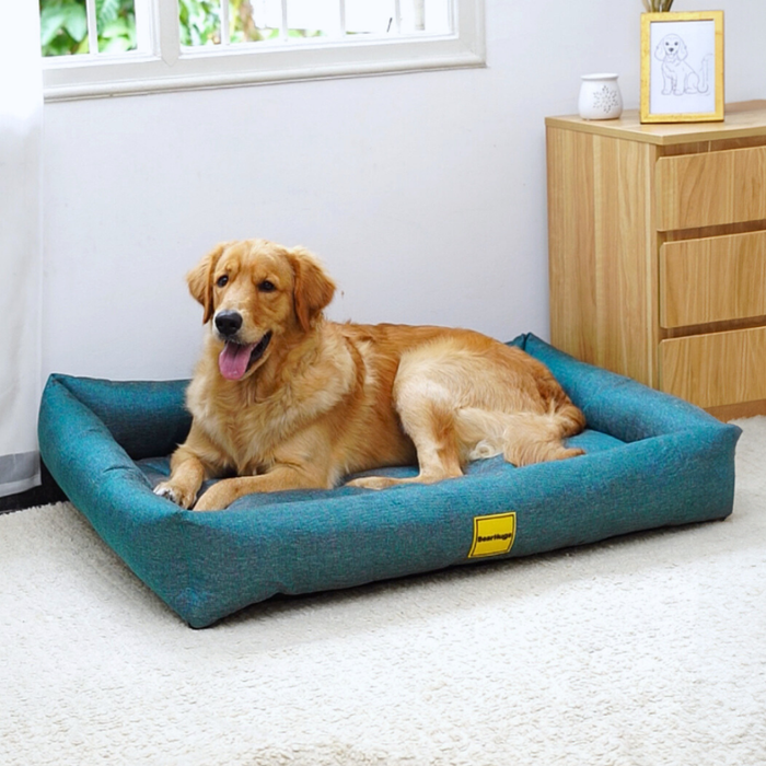 BearHugs Lounger Bed for Dog