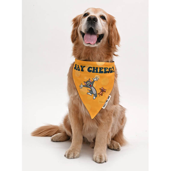 Tom and Jerry Mutt of Course Say Cheese Bandana