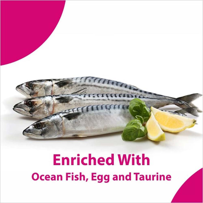 Maxi Persian Ocean Fish Adult Dry Cat Food