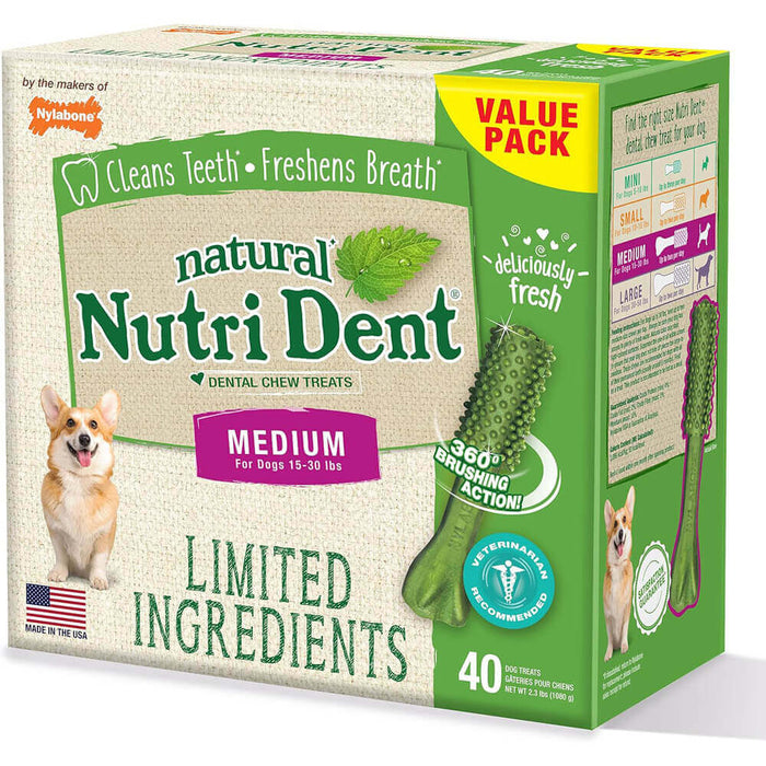 Nylabone Nutri Dent Fresh Breath Single Medium For Dog