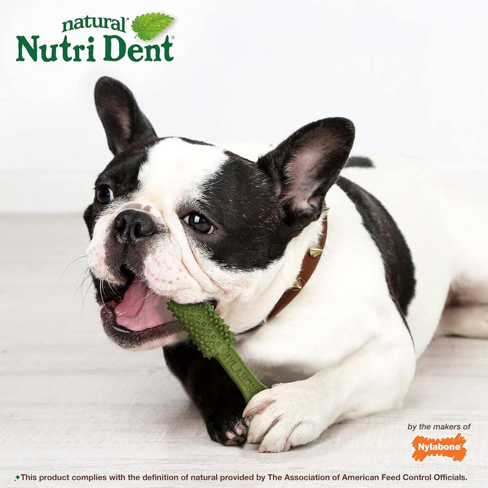 Nylabone Nutri Dent Fresh Breath Single Medium For Dog