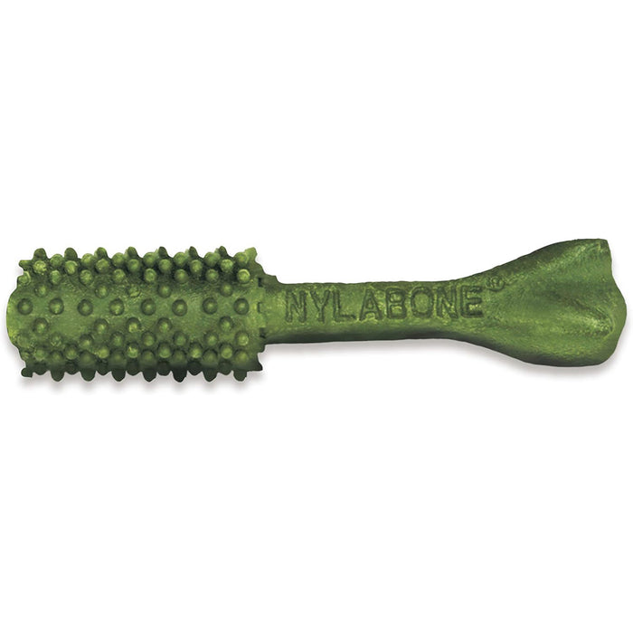 Nylabone Nutri Dent Fresh Breath Single Medium For Dog