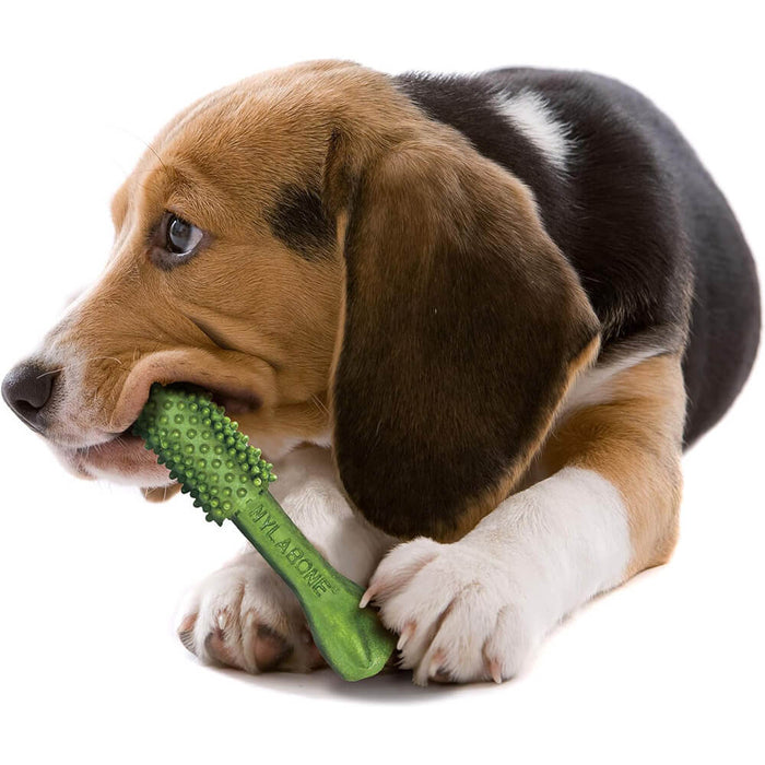 Nylabone Nutri Dent Fresh Breath Single Medium For Dog