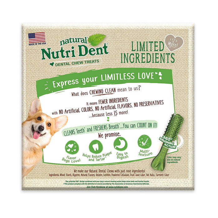 Nylabone Nutri Dent Fresh Breath Single Small For Dog