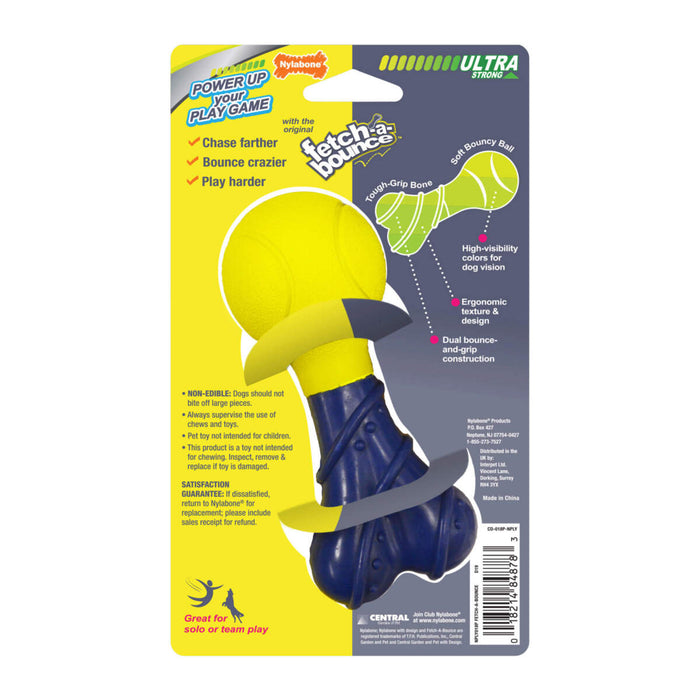 Nylabone Power Play Rubber Fetch-a-Bounce 5  Dog Toy