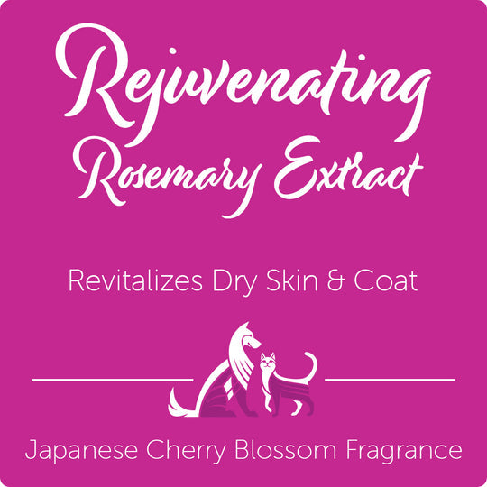 Nootie Rejuvenating Rosemary Extract Japanese Cherry Blossom Pet Shampoo - 473ML