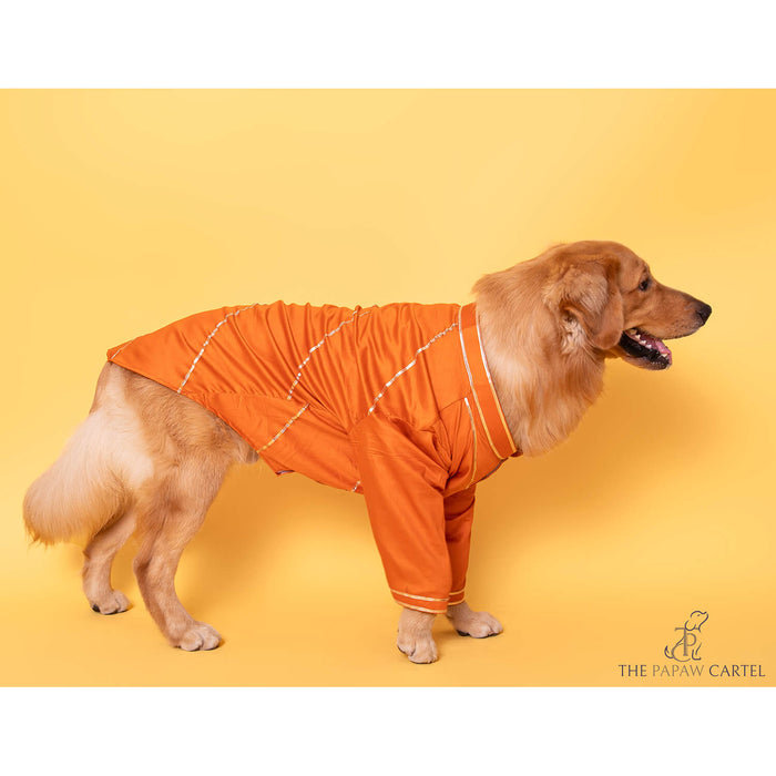 The Papaw Cartel Festive Orange Gotapati Kurta For Dogs
