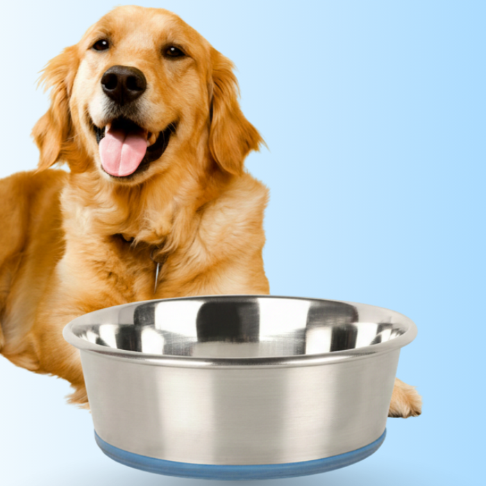 BearHugs Anti Skid Stainless Steel Dog Bowl
