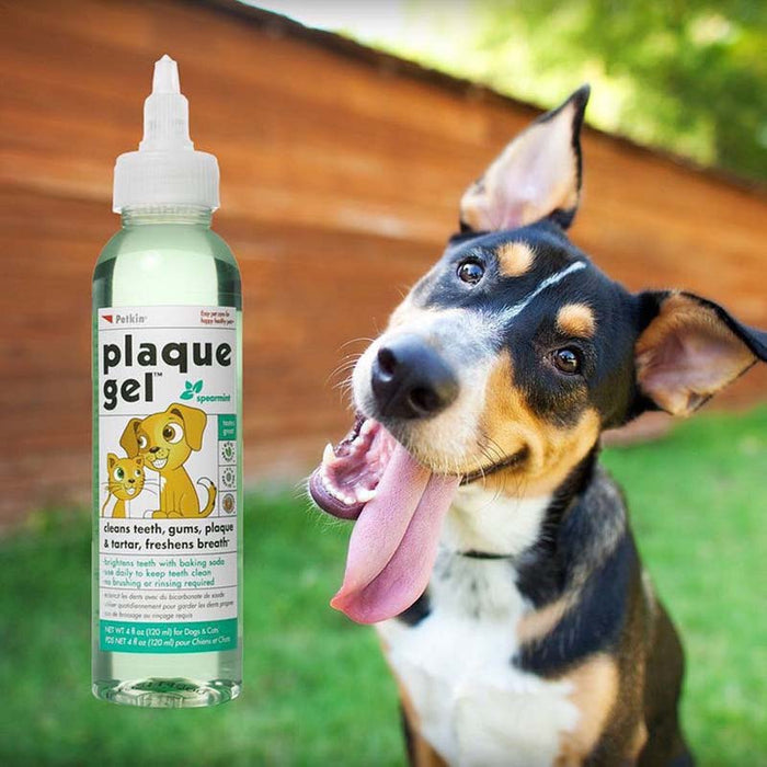 Petkin Cats & Dogs Plaque Gel Spearmint - 120ml