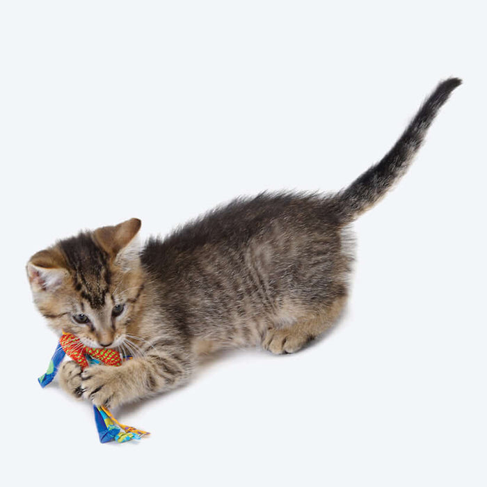 Petstages Catnip Dental Health Cat Chew Toy