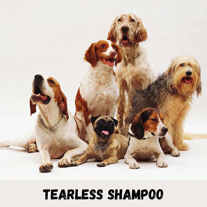 Petkin Milkbath Dog Shampoo - 1000 ml