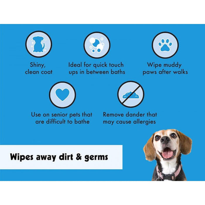 Petkin 18 cm x 30 cm Big Natural Pet Wipes - 100 Wipes