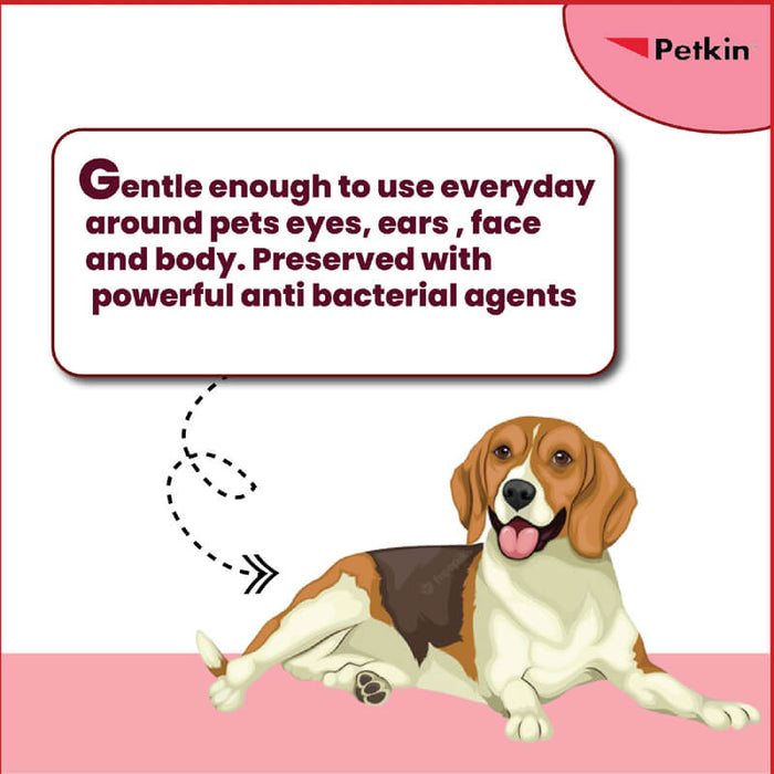 Petkin 15 x 18 cm Germ Removal Travel Pack Wipes - 100 Wipes