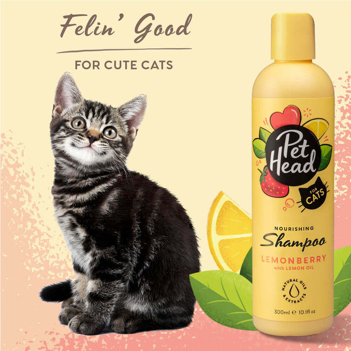 Pet Head Felin' Good Shampoo For Cat - 300ml