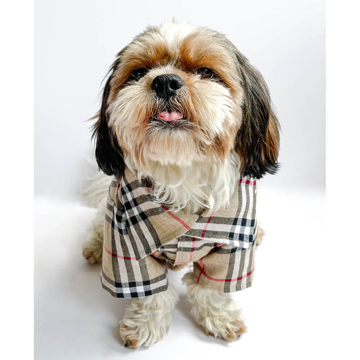 Pawgy Pets Checks Print Casual Shirts For Dog - Beige