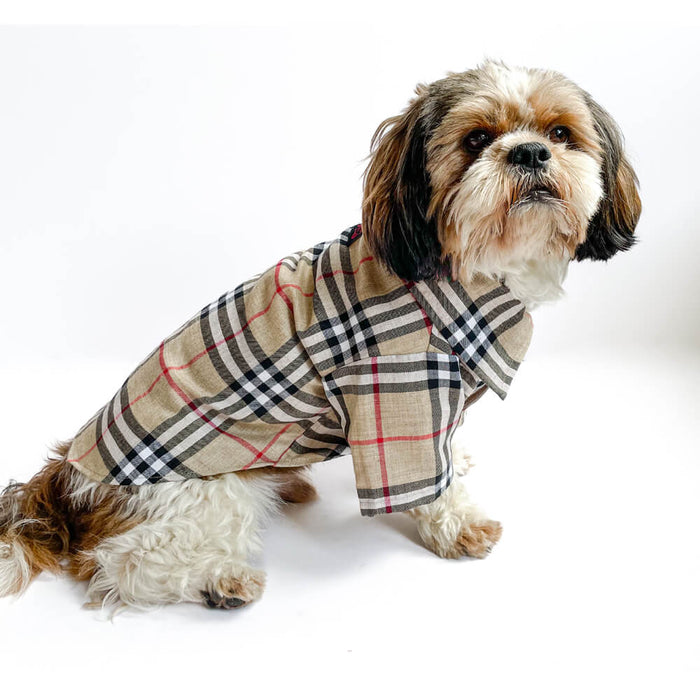 Pawgy Pets Checks Print Casual Shirts For Dog - Beige