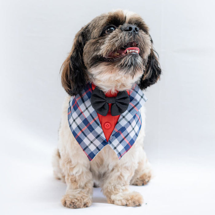 Pawgy Pets Waistcoat Bandana For Dog - Blue