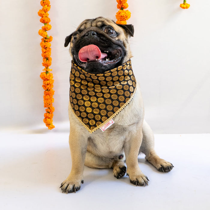 Pawgy Pets Occasion Wear Bandana For Dog - Black