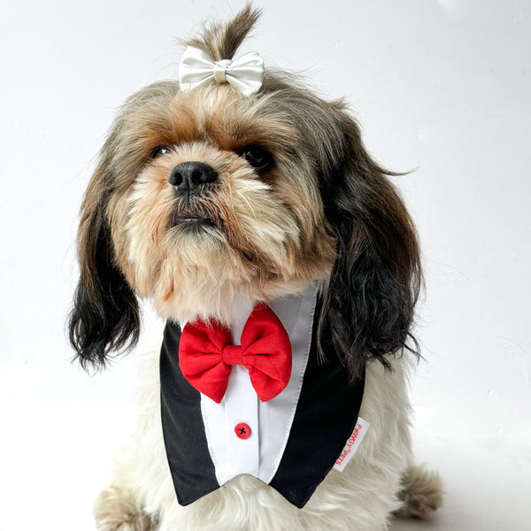 Pawgy Pets Formal Tux Bandana for Dog - Black