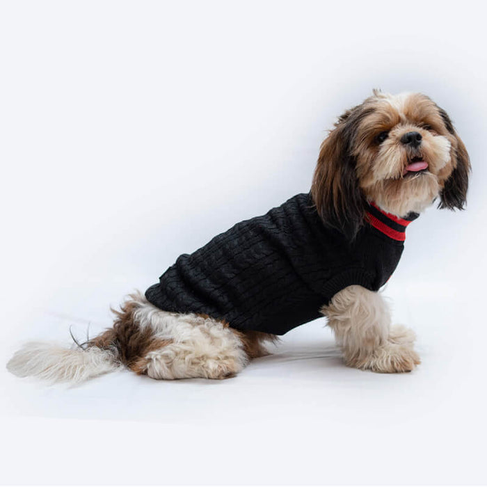 Pawgy Pets High Neck Cable Knit Sweater - Black