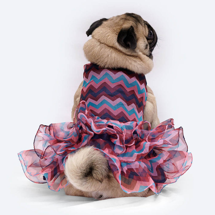 Pawgy Pets Frilly Dress For Dog - Blue