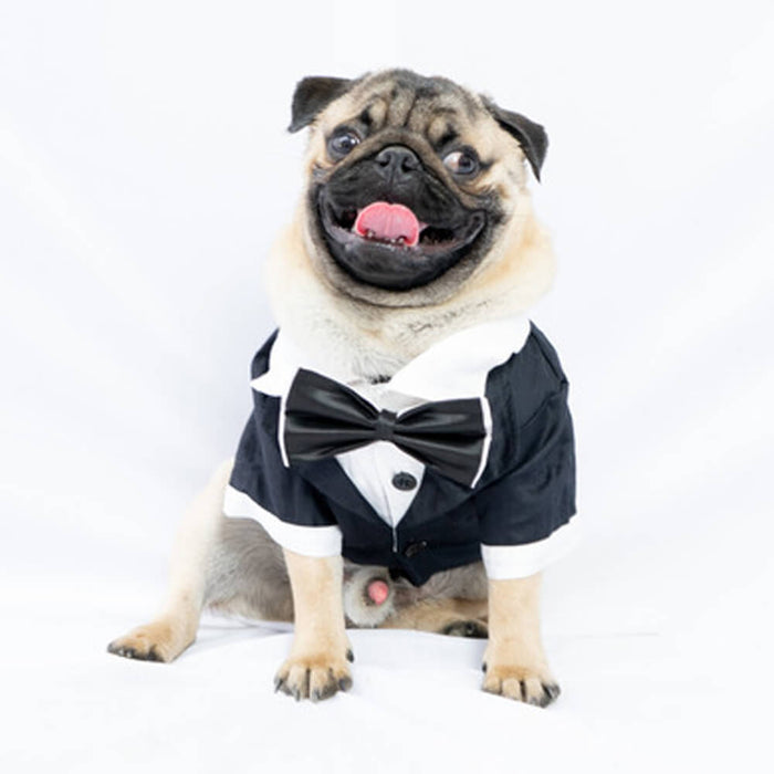 Pawgy Pets Tuxedo Formal Shirt For Dog - Black