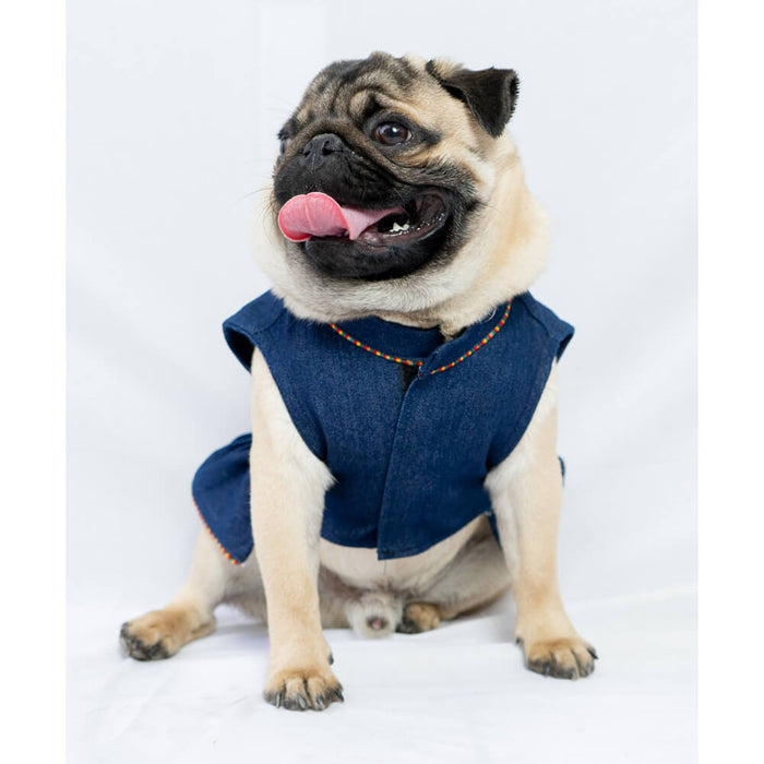 Pawgy Pets Denim Ruffle Dress For Dog - Blue