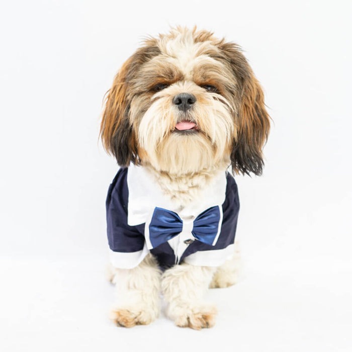 Pawgy Pets Tuxedo Formal Shirt For Dog - Blue
