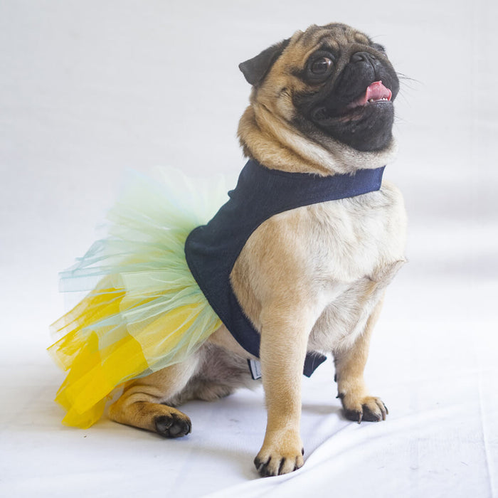 Pawgy Pets Denim Frilly Formal Dress Blue with Yellow For Dog