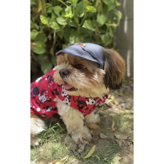 Pawgy Pets Denim Cap for Dog