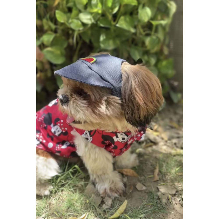 Pawgy Pets Denim Cap for Dog