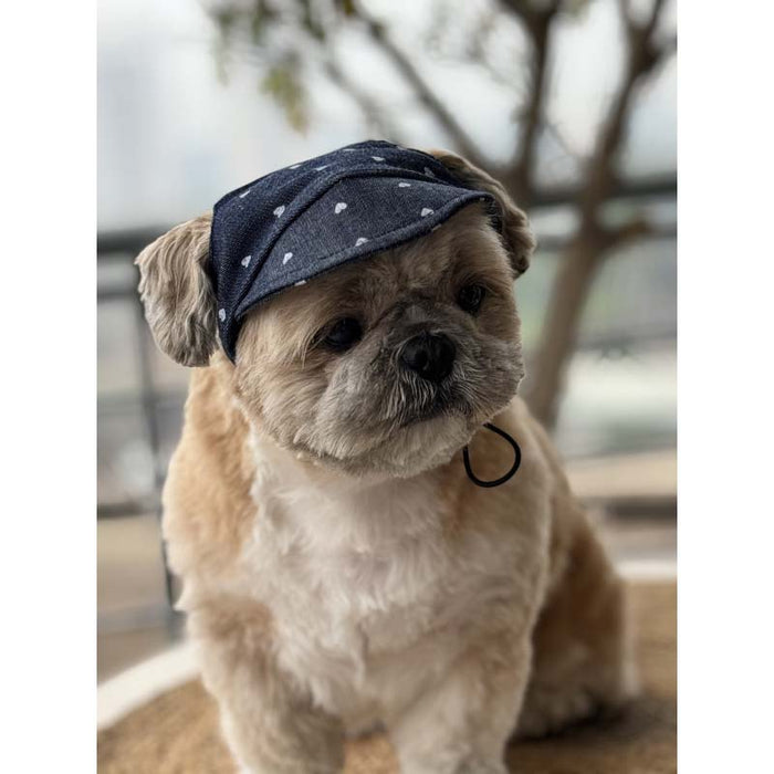 Pawgy Pets Hearty Denim Cap for Dog