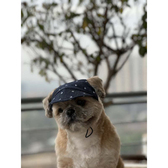 Pawgy Pets Hearty Denim Cap for Dog