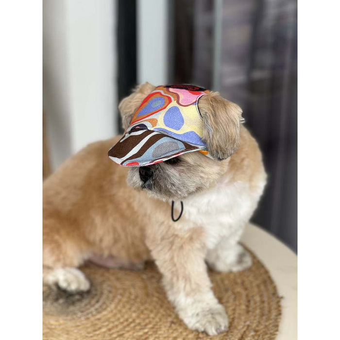 Pawgy Pets Multi Colour Cap for Dog