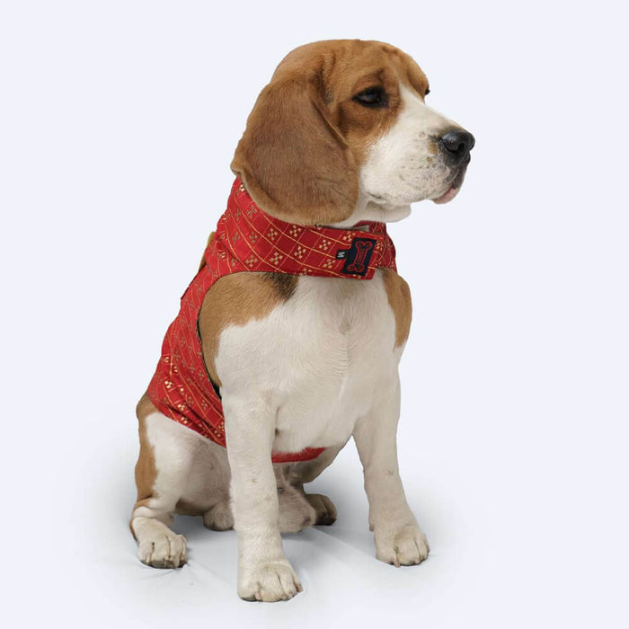 Pawgy Pets Casual Strapy Sherwani For Dog - Red