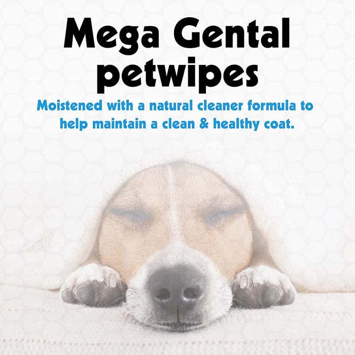 Petkin Mega Value Petwipes - 200 Wipes