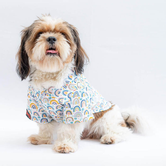 Pawgy Pets Rainbow Print Casual Shirts