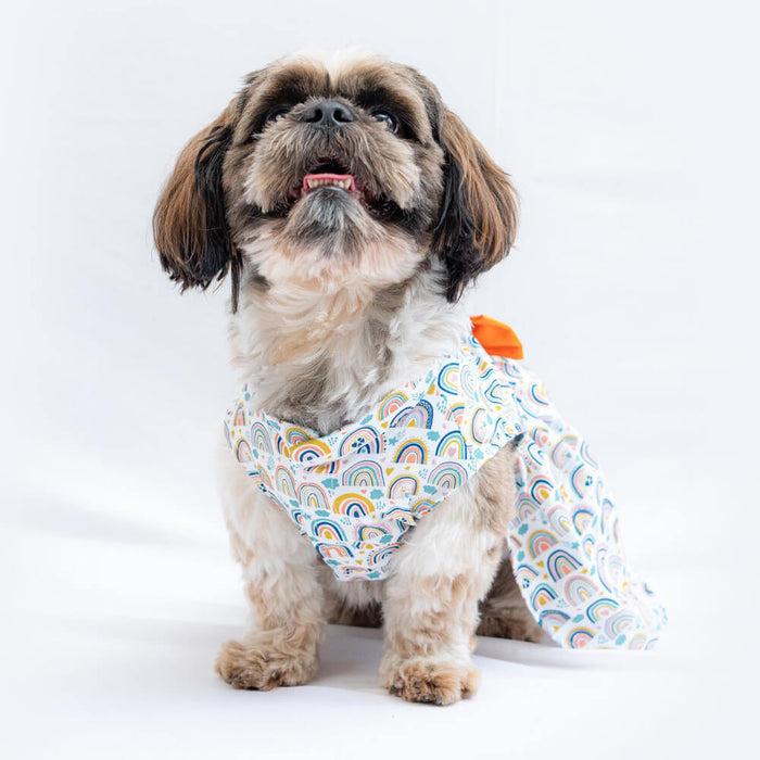 Pawgy Pets Rainbow Print Casual Dress For Dog