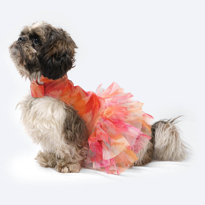 Pawgy Pets Frilly Dress For Dog - Orange