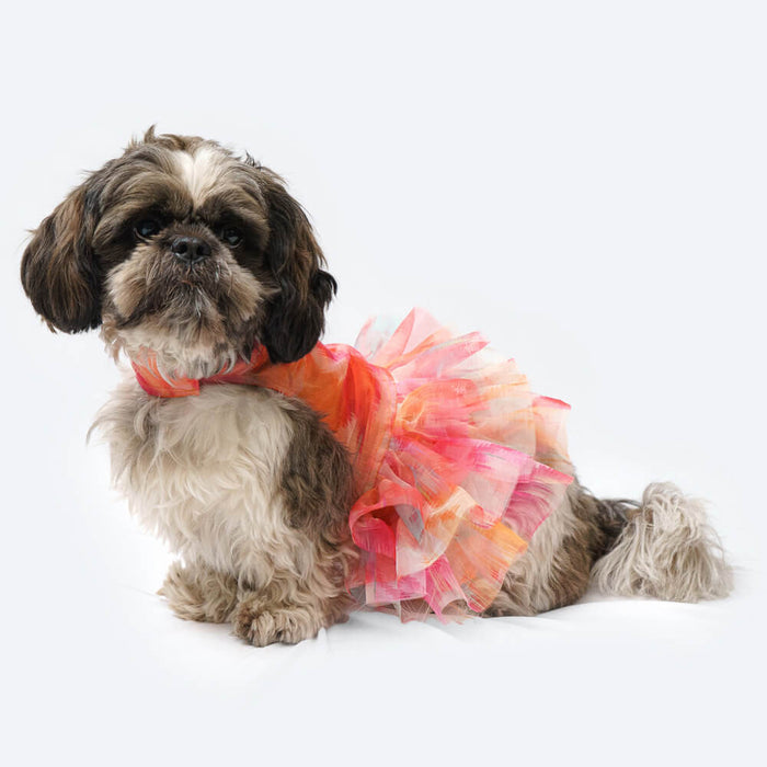 Pawgy Pets Frilly Dress For Dog - Orange