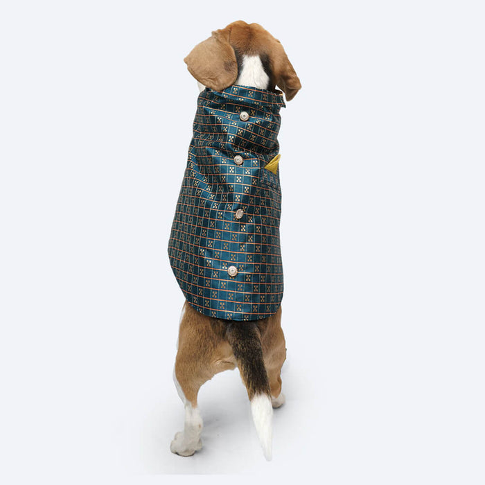 Pawgy Pets Casual Strapy Sherwani For Dog - Peacock Blue