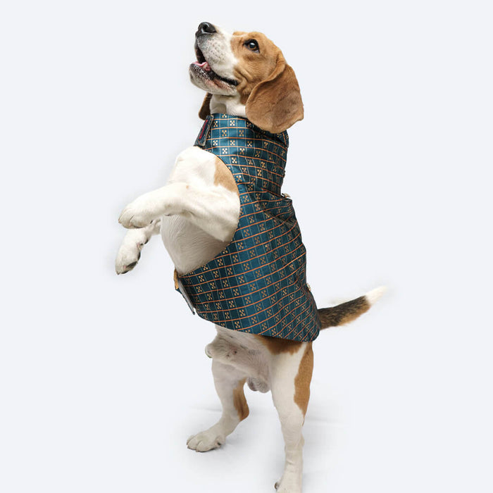 Pawgy Pets Casual Strapy Sherwani For Dog - Peacock Blue