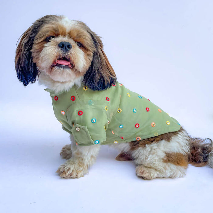 Pawgy Pets Festive Shirt For Dog - Pista Green