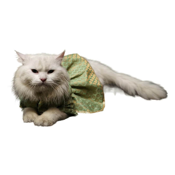 Pawgy Pets Occasion wear Dress For Cat - Pista Green