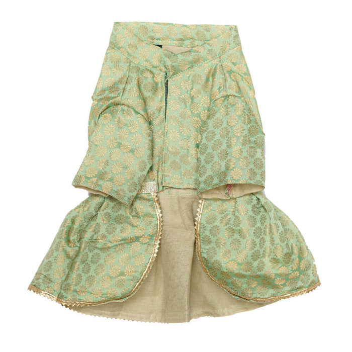 Pawgy Pets Occasion wear Dress For Cat - Pista Green