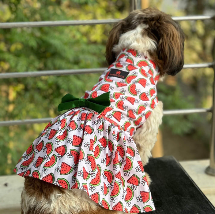 Pawgy Pets Daisy Melon Dress Pink For Dogs