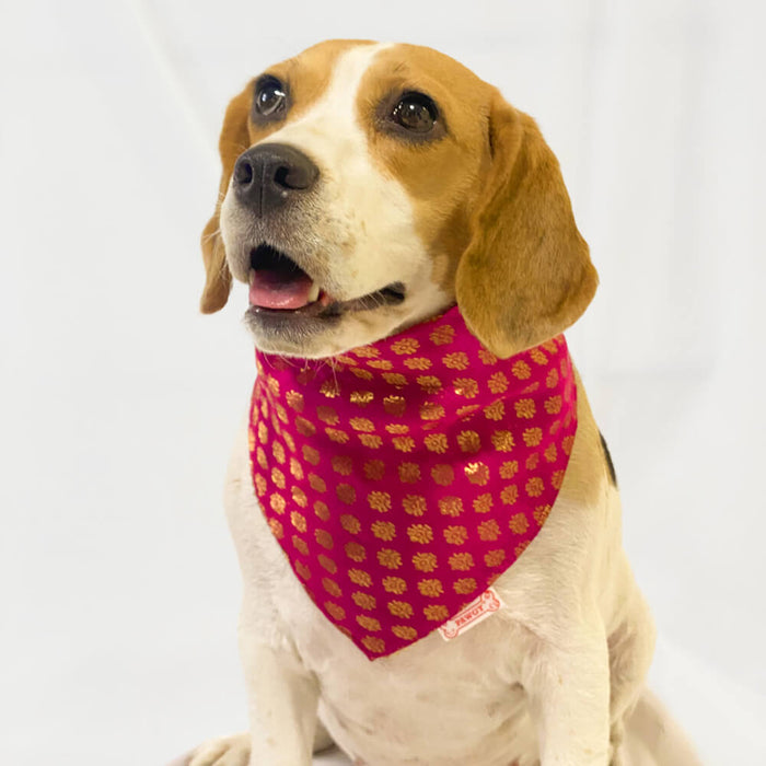 Pawgy Pets Occasion Wear Bandana For Dog - Pink